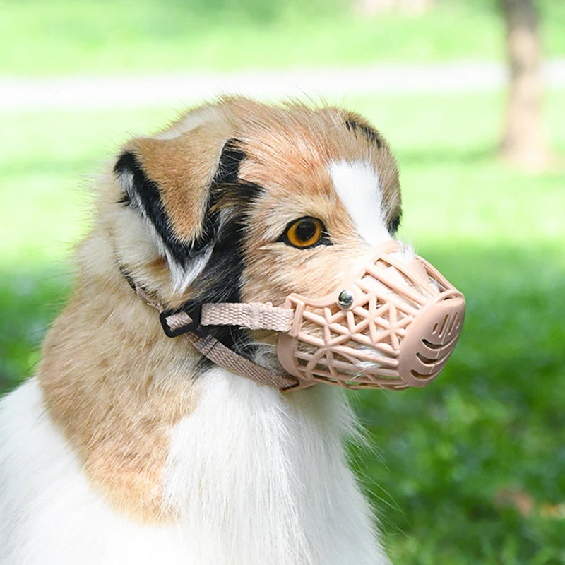 Muselière pour chien