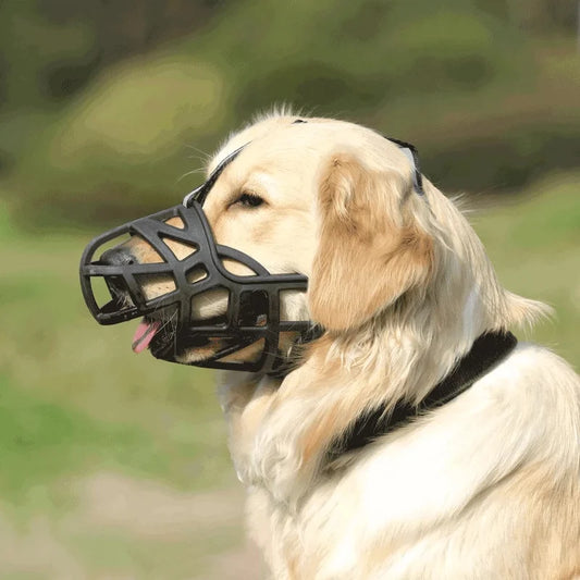 Muselière pour Chien