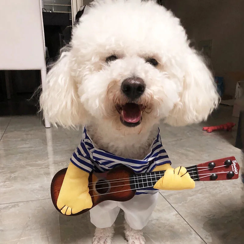 Déguisement pour chien guitariste