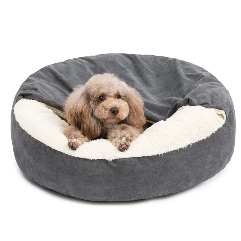 Coussin pour chien