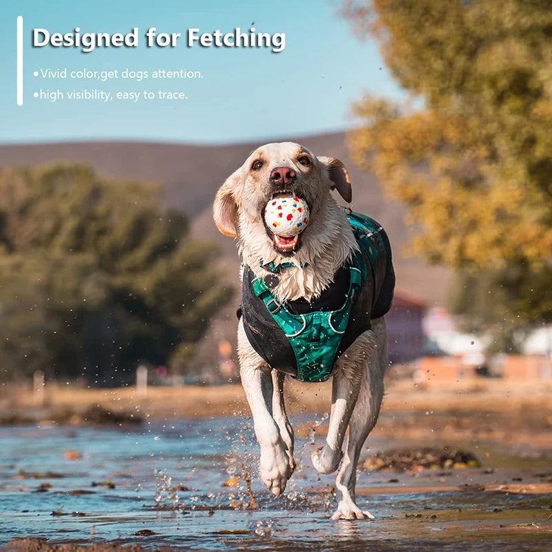 Balle solide résistante en caoutchouc pour chien - Jouet interactif et durable