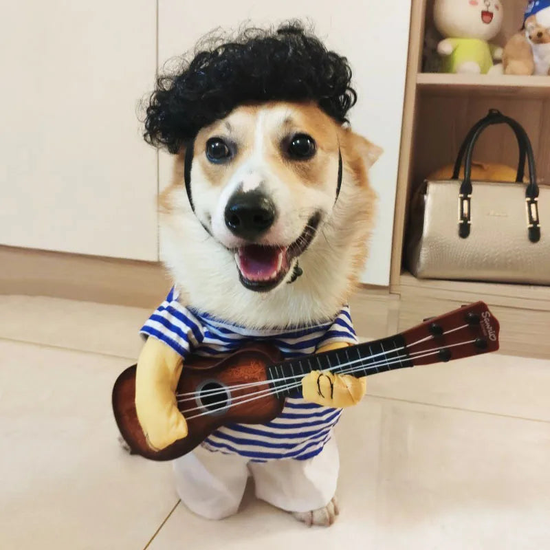 Déguisement pour chien guitariste