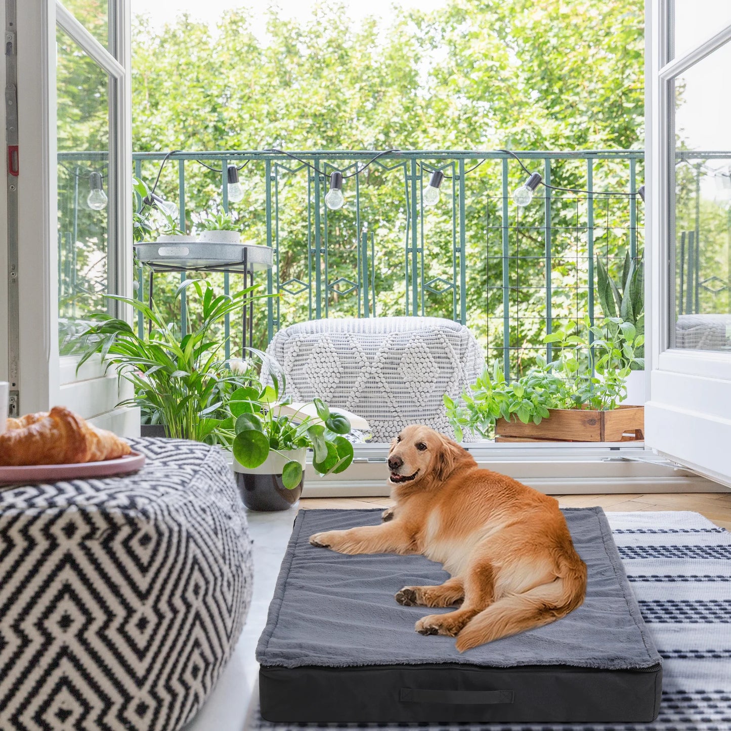 Matelas pour chien