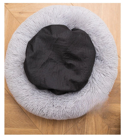 Coussin pour chien