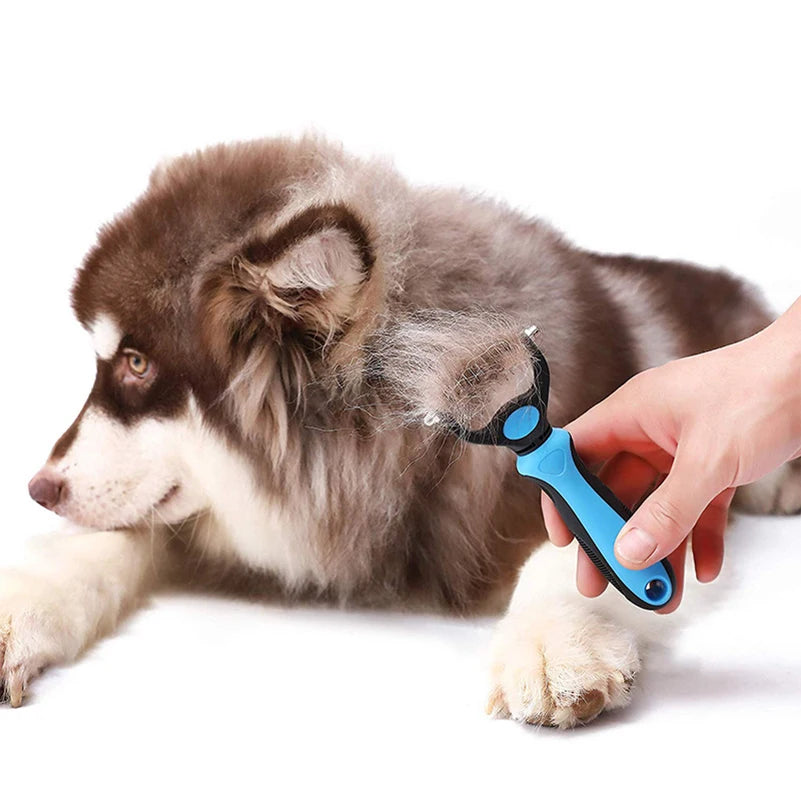 Brosse à poil pour chien