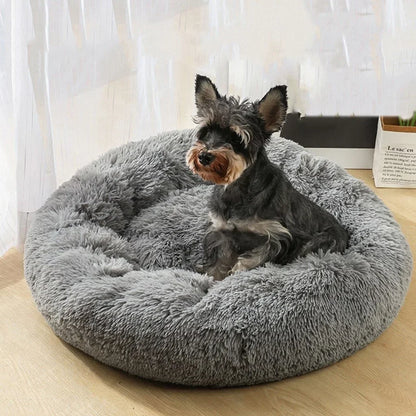 Coussin pour chien