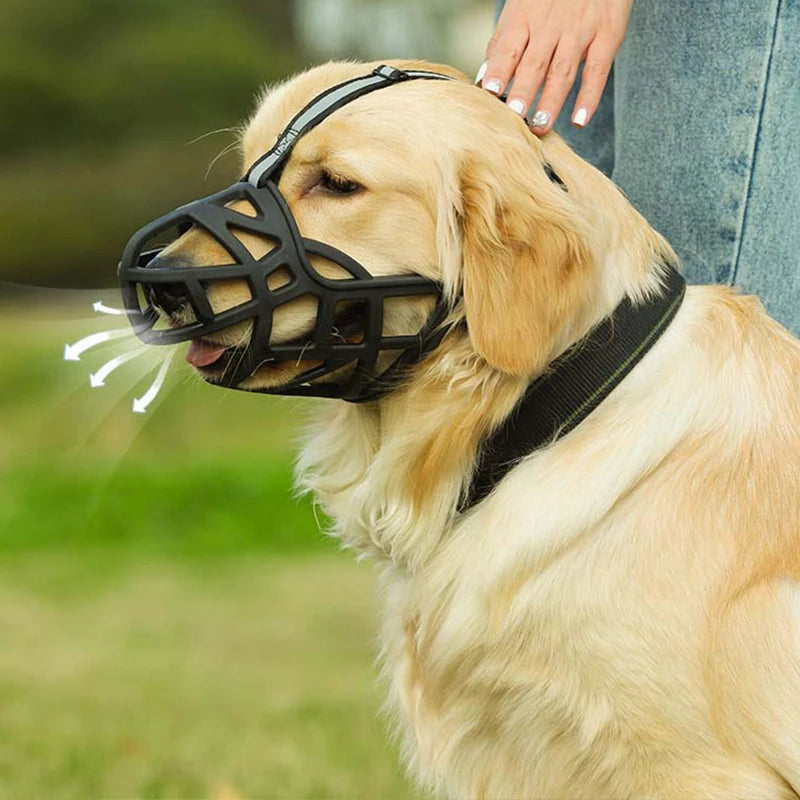 Muselière pour Chien