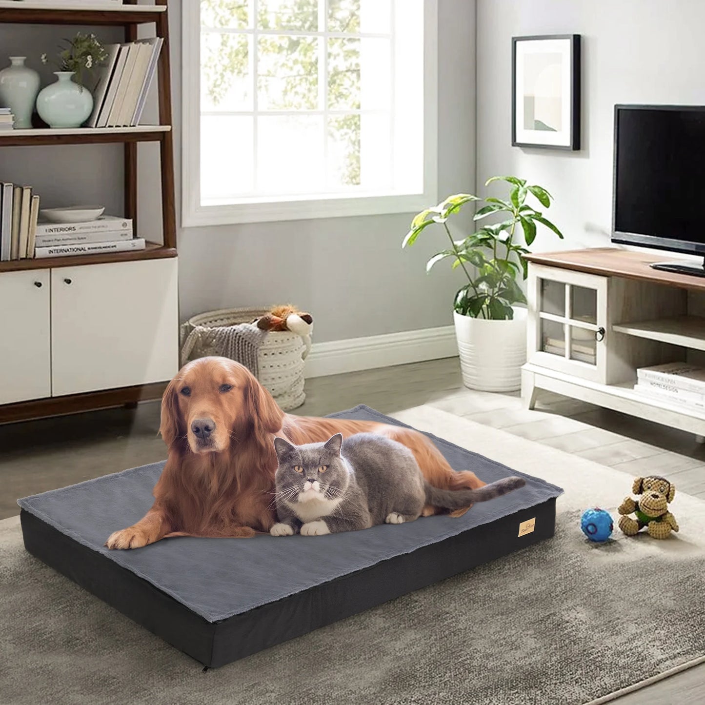 Matelas pour chien