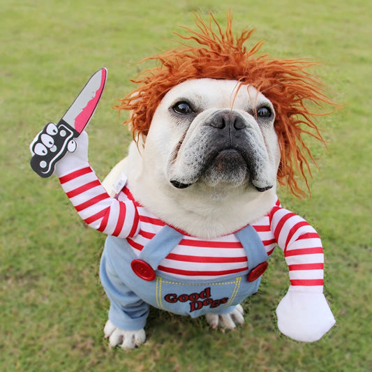 Déguisement pour chien Chucky