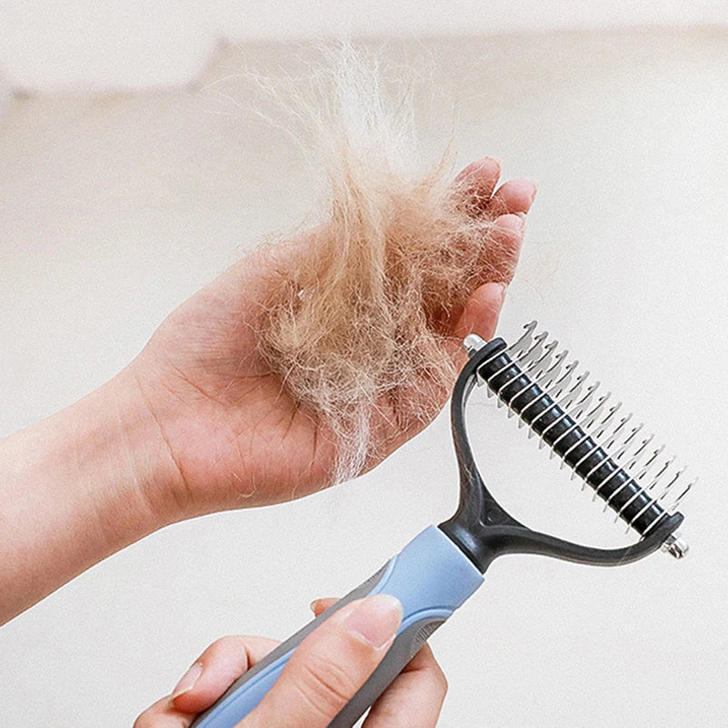 Brosse à poil pour chien