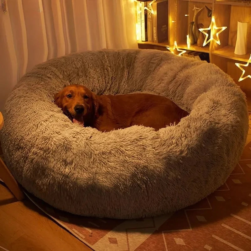 Coussin pour chien