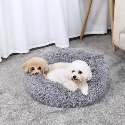 Coussin pour chien