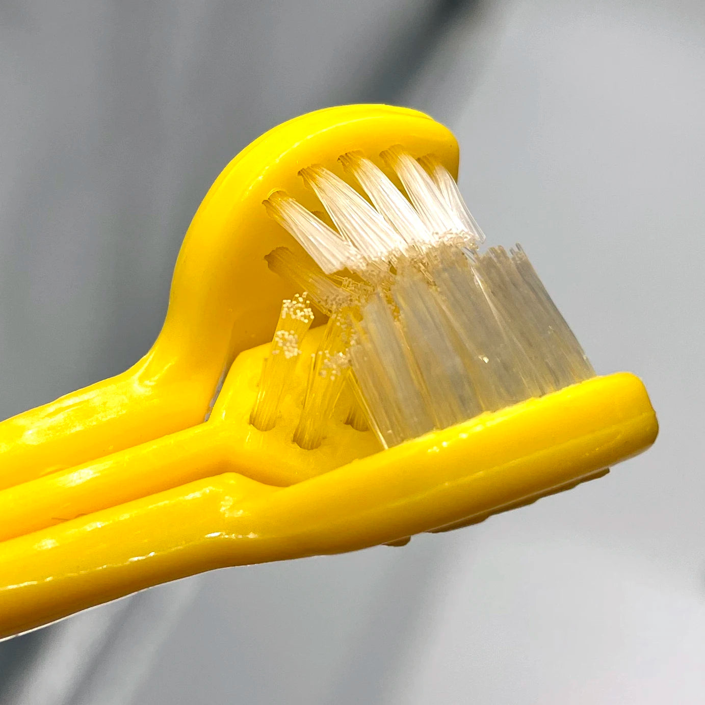 Brosse à dent Pour Chien