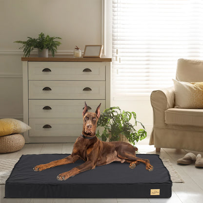 Matelas pour chien