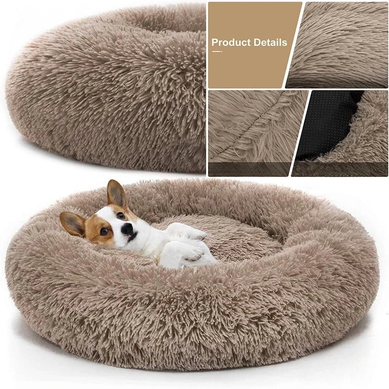 Coussin pour chien