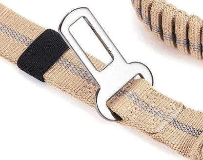 Ceinture de sécurité pour chien